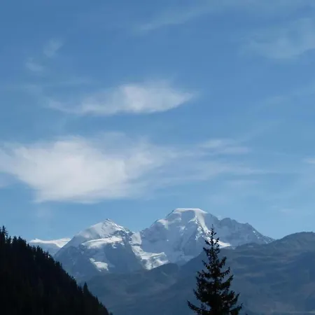 Valley View With Paid Sauna Appartement Nendaz